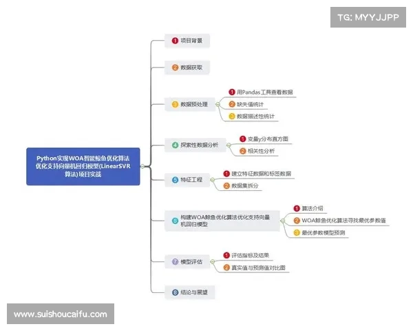 如何通过优化TomTom算法提升智能导航精度与路线规划效率 如何通过优化TomTom算法提升智能导航精度与路线规划效率